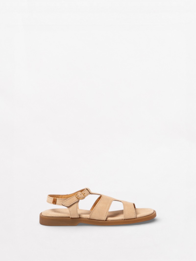 Arenisca N5879